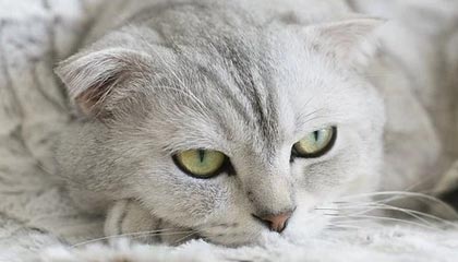 爱游戏官网首页-国际热身赛中国女足爆冷 技术问题引发关注，国足热身赛比赛结果