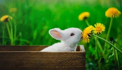 爱游戏数字体验-英格兰奥运回顾：一步一脚印走向奖牌，英国奥运会英格兰世界杯