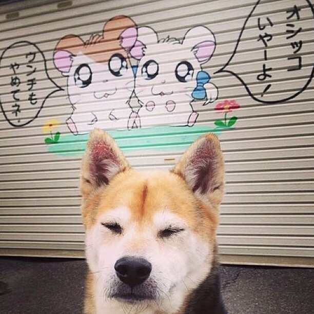 未来规划:联盟的青训和全球化战略路线图,2021英雄联盟青训资格