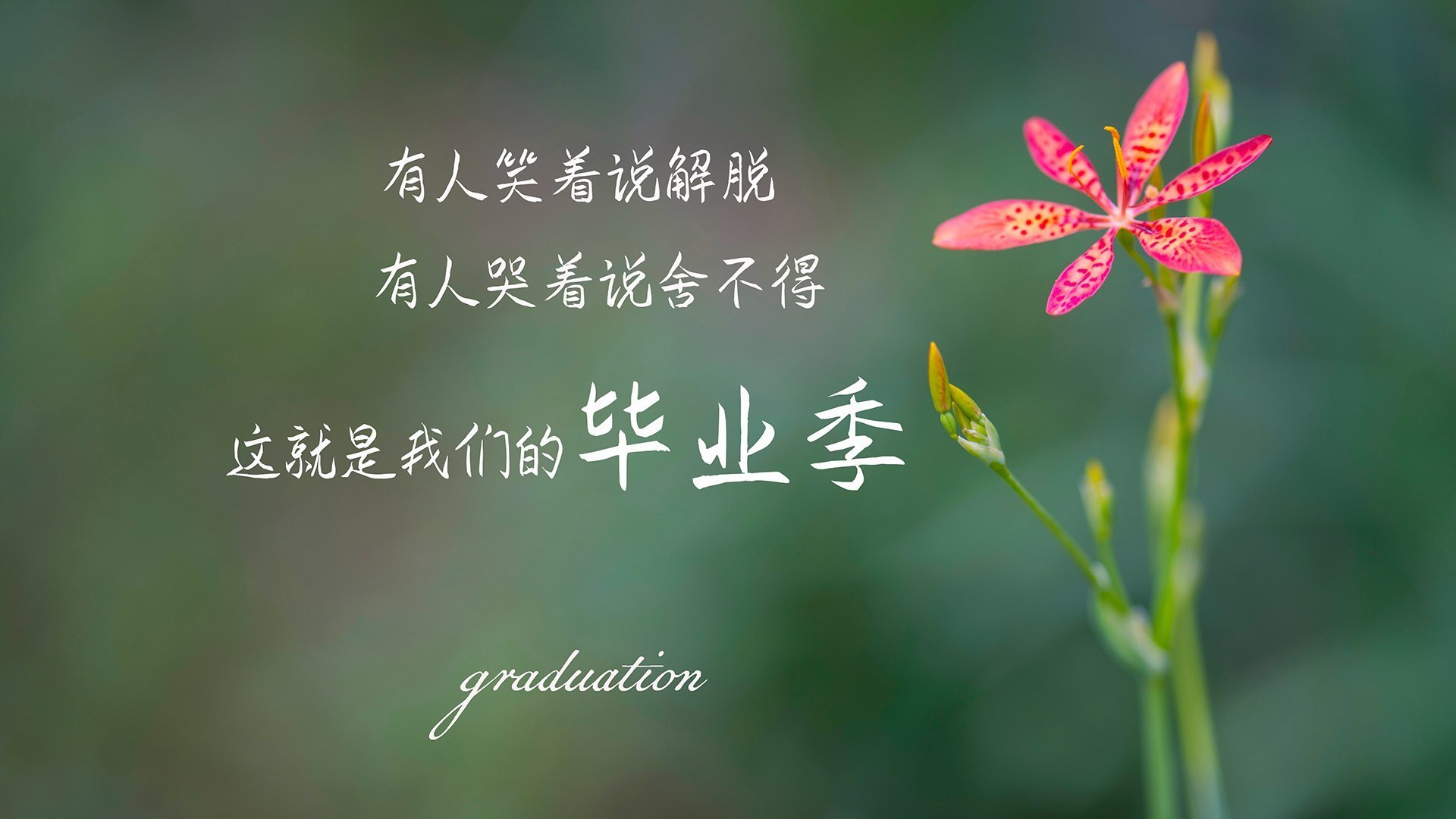 瑞士女足荣获“最佳团队协作奖”，瑞士女足国脚