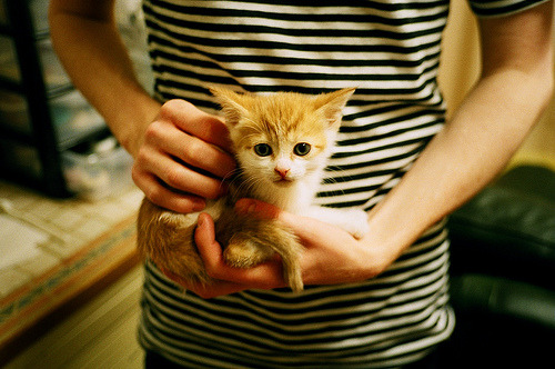 篮球公益赛事推动社区健康生活方式，社区举办篮球比赛体现社区什么功能