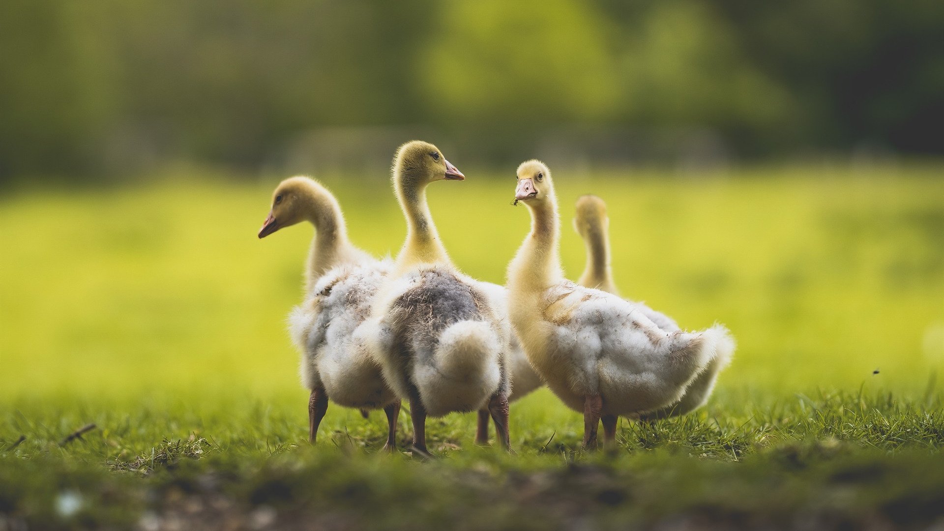 爱游戏网页版-科技赋能青训“全流程”管理体系行业标准逐步完善，科技赋能运动