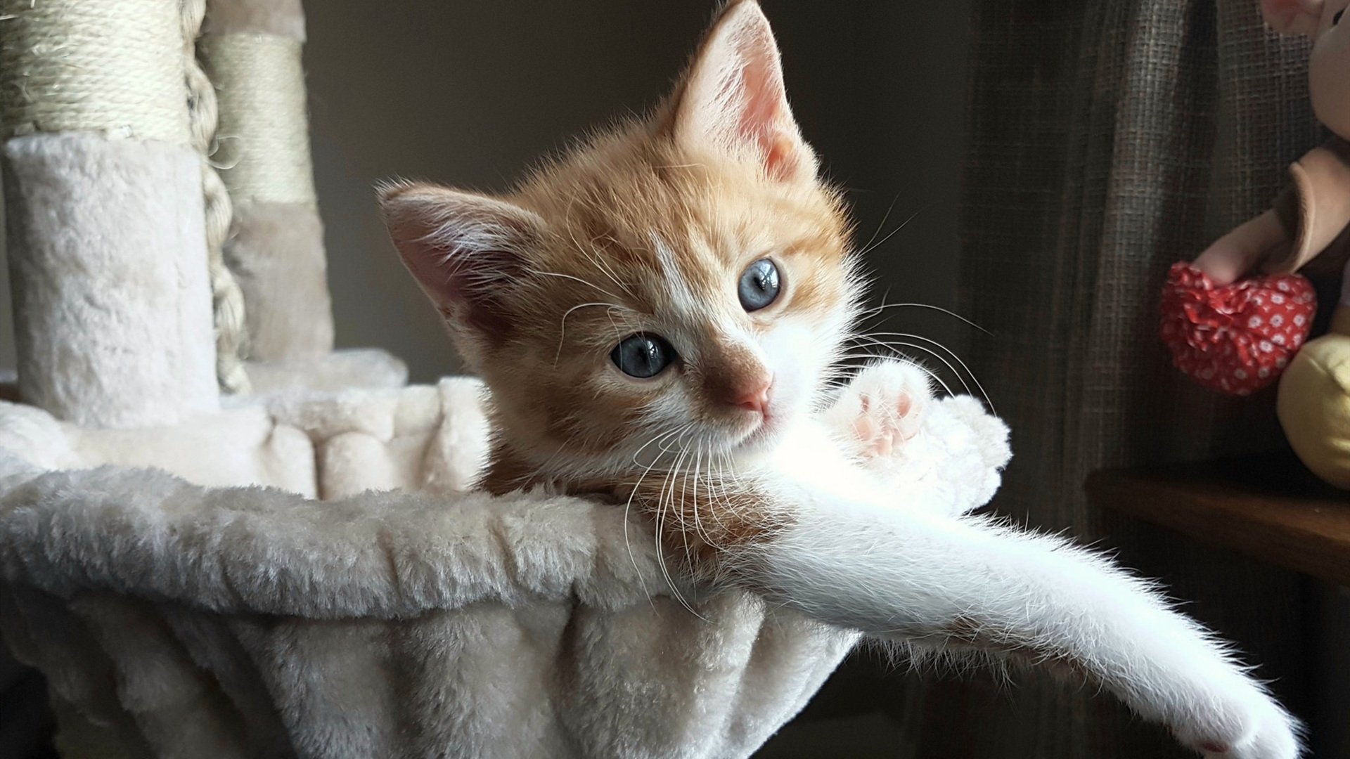 费兰·托雷斯关键助攻，皇马稳居西甲前列，费兰托雷斯愿意加盟曼联