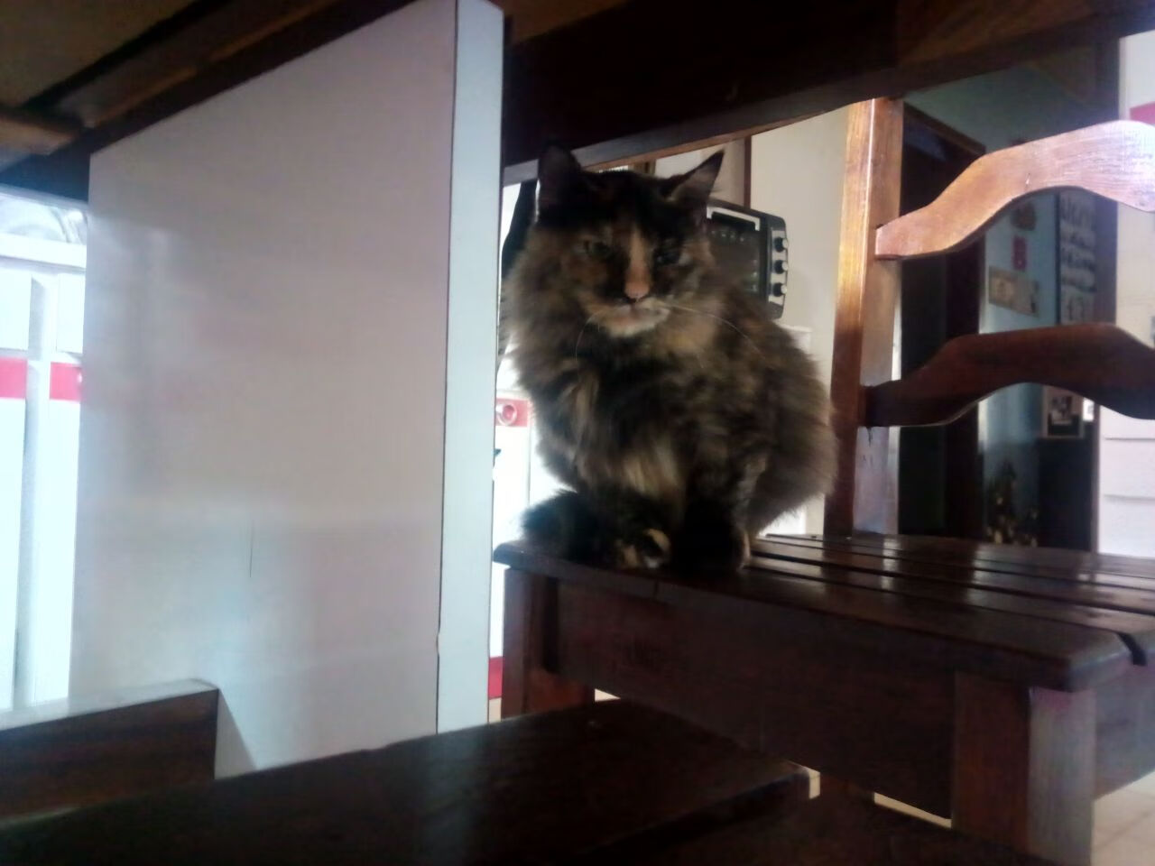 PSG.LGD选手国际舞台表现出色，psg.lgd成员