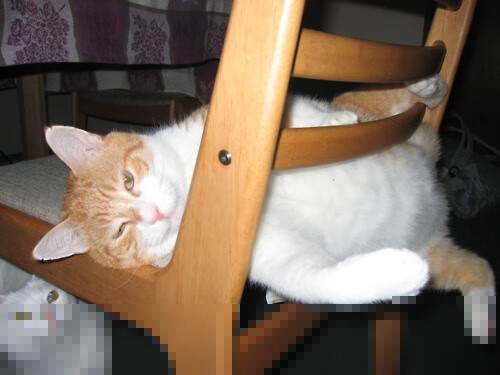 多特蒙德客场2-0战胜云达不莱梅，豪取九连胜，多特蒙德主场视频