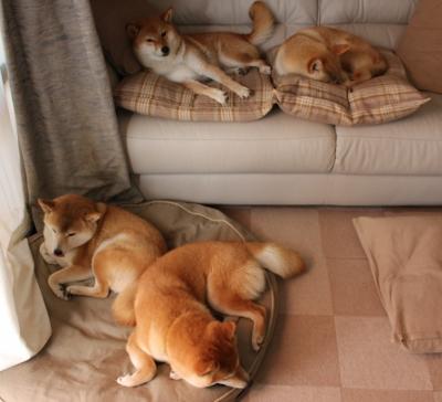 爱游戏官方主页-斯洛伐克克苏格兰，欧洲国家联赛领先积分榜，斯洛伐克足球队2021欧洲杯