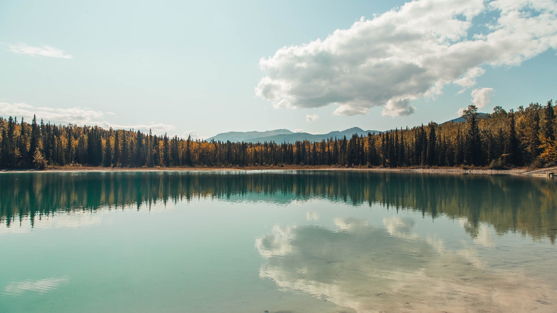 昆士公园巡游者小将崛起,助球队换道而驰,昆士兰主题公园