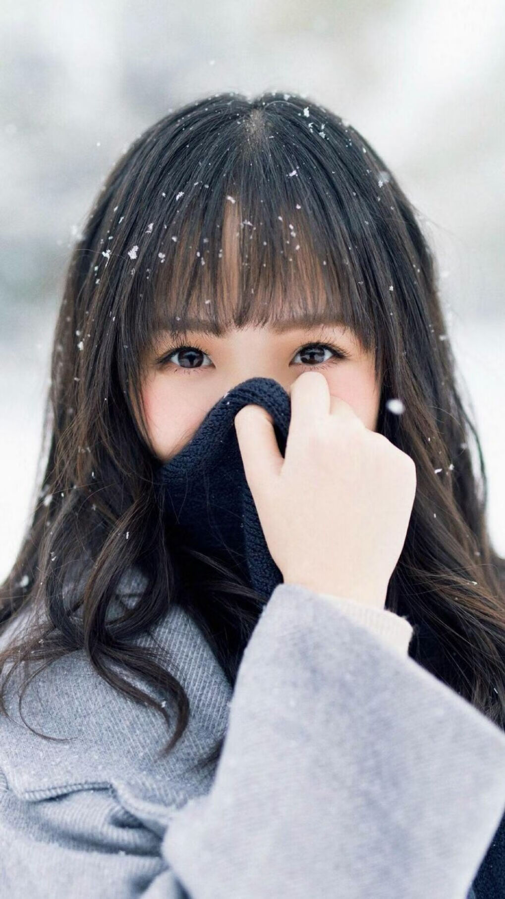 昆士公园巡游者小将崛起,助球队换道而驰,昆士兰主题公园