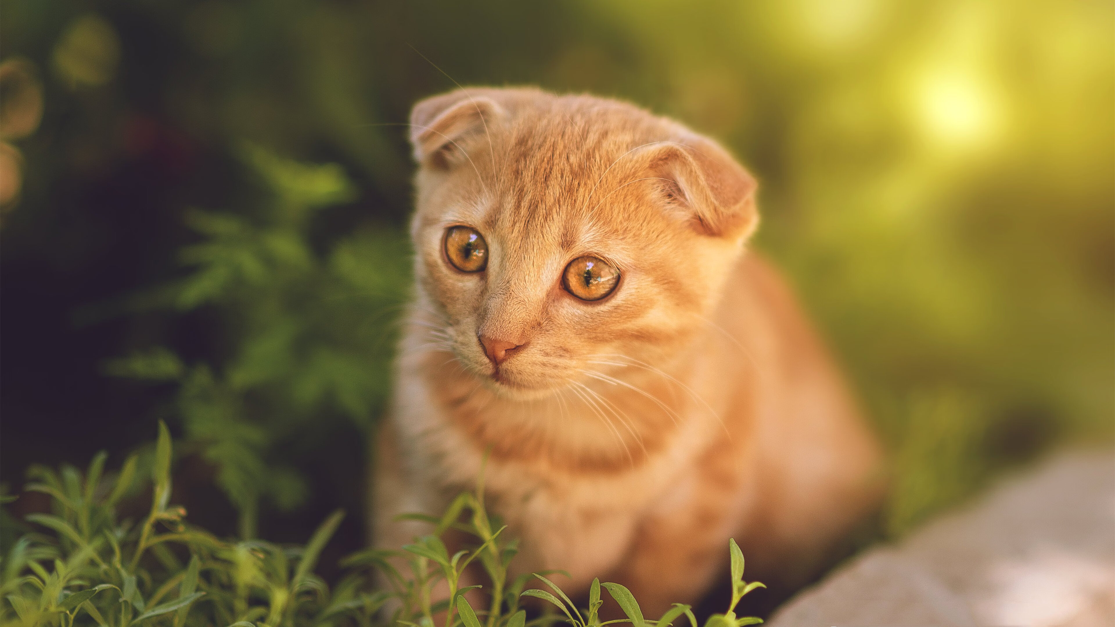 校园体育活动促进创新能力，校园体育活动促进创新能力的措施