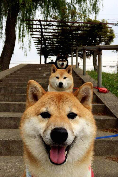 爱游戏数字体验-火箭主场加时险胜湖人，火箭对湖人双加时