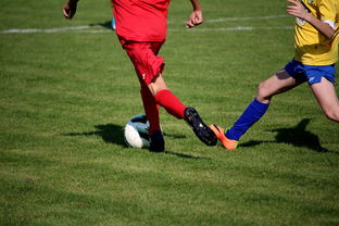 爱游戏平台-篮球训练计划科学制定与执行效果评估，篮球训练计划制定与范例