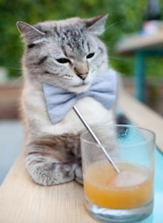 五大联赛强强对话中的战术对位与发挥差异，五大联赛各联赛打法特点